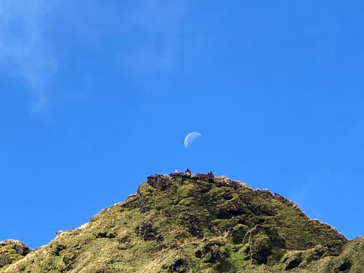 Belated updates from a busy&nbsp;year